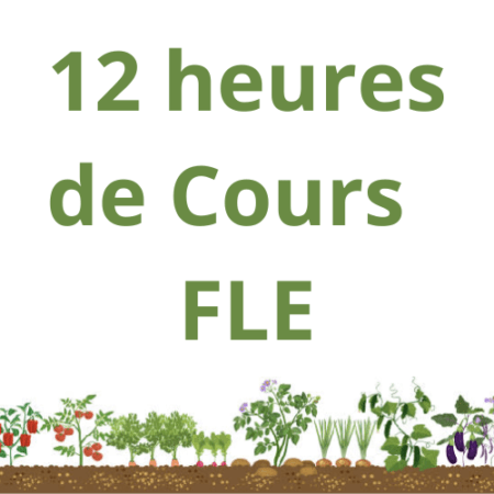 12 h cours FLE Cultivez votre français !