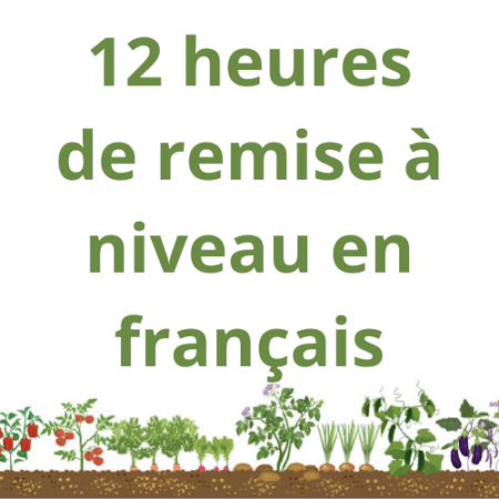 12 heures Remise à niveau en français Cultivez votre français !