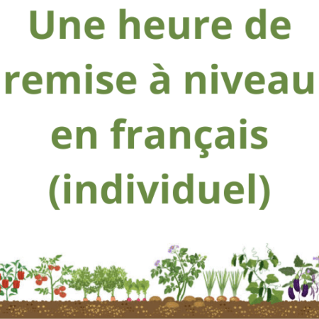 Remise à niveau (individuel) Cultivez votre français !