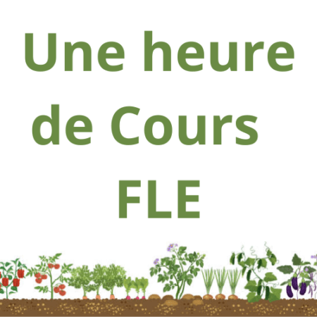 Une heure cours FLE Cultivez votre français !