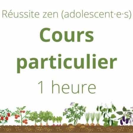 Cours particulier lycée Réussite Zen