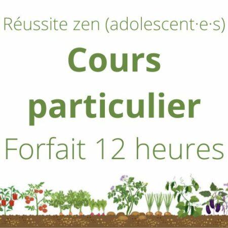 Paula Indra MICHELS Réussite zen forfait