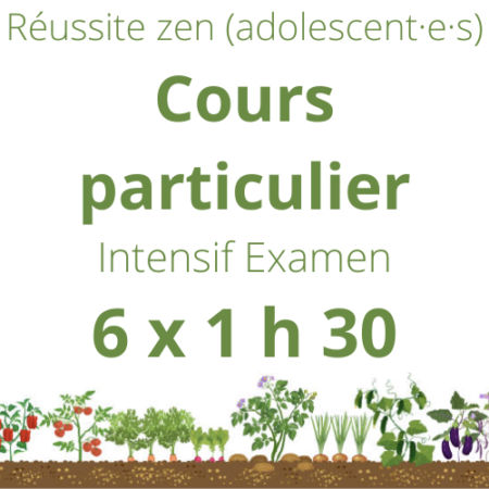 Préparation bac et brevet, réussite zen